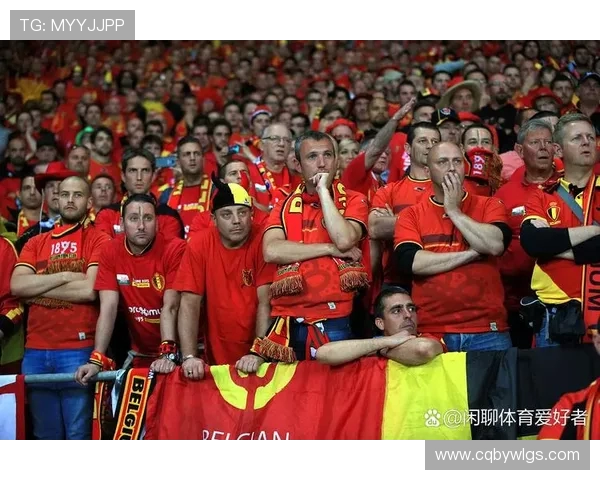 威尔士与芬兰精彩对决视频回顾及赛后分析