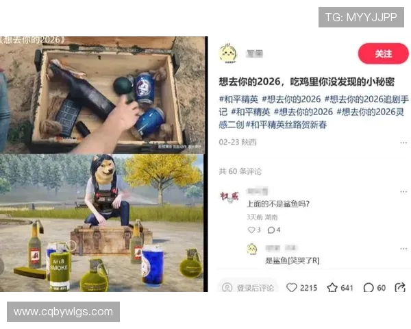 和平精英热议LNG状态争议引发玩家热烈讨论与不同观点碰撞